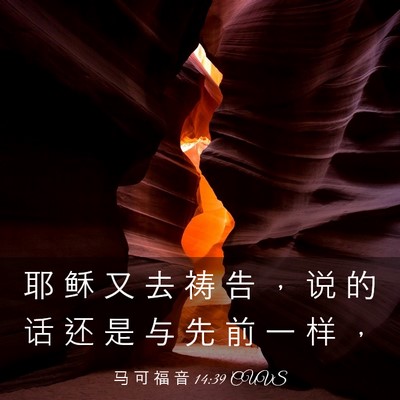 Picture 03 - 马 可 福 音 14:39 CUVS - 耶 稣 又 去 祷 告 ， 说 的 话 还 是 - Bible Verse Picture