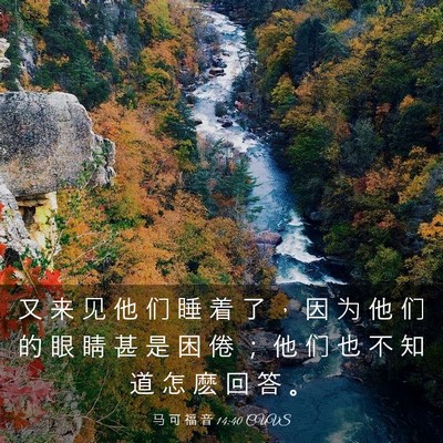 Picture 03 - 马 可 福 音 14:40 CUVS - 又 来 见 他 们 睡 着 了 ， 因 为 他 - Bible Verse Picture