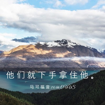 Picture 03 - 马 可 福 音 14:46 CUVS - 他 们 就 下 手 拿 住 他 - Bible Verse Picture