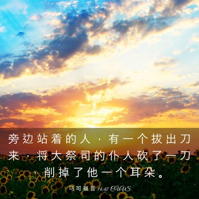 Picture 03 - 马 可 福 音 14:47 CUVS - 旁 边 站 着 的 人 ， 有 一 个 拔 出 - Bible Verse Picture