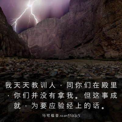 Picture 03 - 马 可 福 音 14:49 CUVS - 我 天 天 教 训 人 ， 同 你 们 在 殿 - Bible Verse Picture