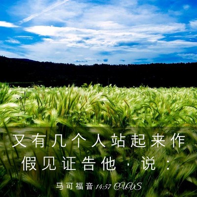 Picture 03 - 马 可 福 音 14:57 CUVS - 又 有 几 个 人 站 起 来 作 假 见 证 - Bible Verse Picture