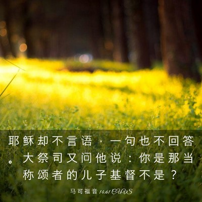 Picture 03 - 马 可 福 音 14:61 CUVS - 耶 稣 却 不 言 语 ， 一 句 也 不 回 - Bible Verse Picture