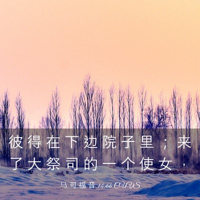 Picture 03 - 马 可 福 音 14:66 CUVS - 彼 得 在 下 边 院 子 里 ； 来 了 大 - Bible Verse Picture