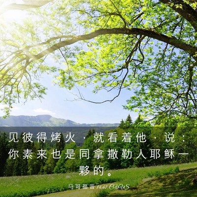 Picture 03 - 马 可 福 音 14:67 CUVS - 见 彼 得 烤 火 ， 就 看 着 他 ， 说 - Bible Verse Picture