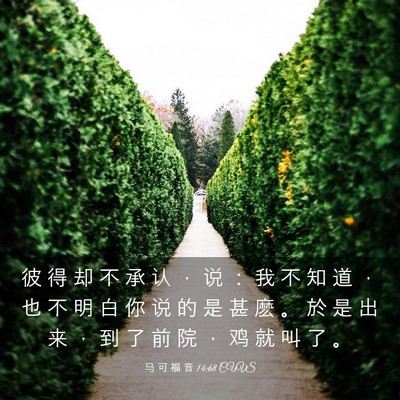 Picture 03 - 马 可 福 音 14:68 CUVS - 彼 得 却 不 承 认 ， 说 ： 我 不 知 - Bible Verse Picture