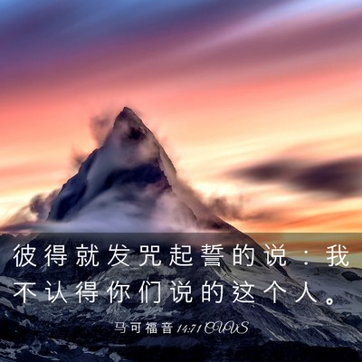 Picture 03 - 马 可 福 音 14:71 CUVS - 彼 得 就 发 咒 起 誓 的 说 ： 我 不 - Bible Verse Picture