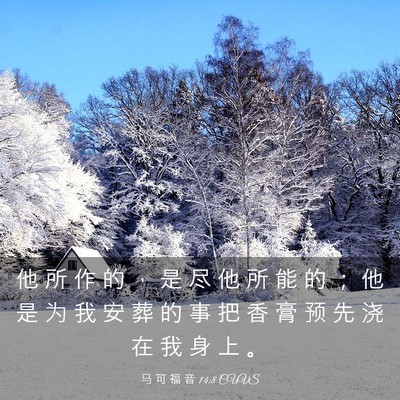 Picture 03 - 马 可 福 音 14:8 CUVS - 他 所 作 的 ， 是 尽 他 所 能 的 ； - Bible Verse Picture