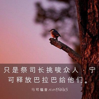 Picture 03 - 马 可 福 音 15:11 CUVS - 只 是 祭 司 长 挑 唆 众 人 ， 宁 可 - Bible Verse Picture
