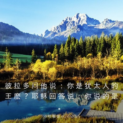 Picture 03 - 马 可 福 音 15:2 CUVS - 彼 拉 多 问 他 说 ： 你 是 犹 太 人 - Bible Verse Picture
