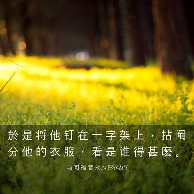 Picture 03 - 马 可 福 音 15:24 CUVS - 於 是 将 他 钉 在 十 字 架 上 ， 拈 - Bible Verse Picture