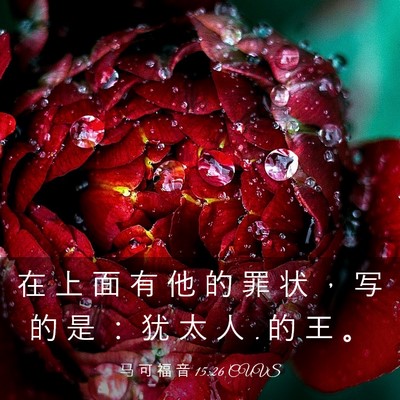 Picture 03 - 马 可 福 音 15:26 CUVS - 在 上 面 有 他 的 罪 状 ， 写 的 是 - Bible Verse Picture