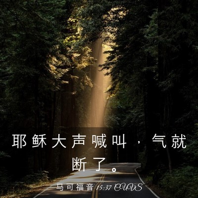 Picture 03 - 马 可 福 音 15:37 CUVS - 耶 稣 大 声 喊 叫 ， 气 就 断 了 - Bible Verse Picture