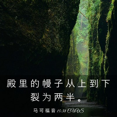 Picture 03 - 马 可 福 音 15:38 CUVS - 殿 里 的 幔 子 从 上 到 下 裂 为 两 - Bible Verse Picture