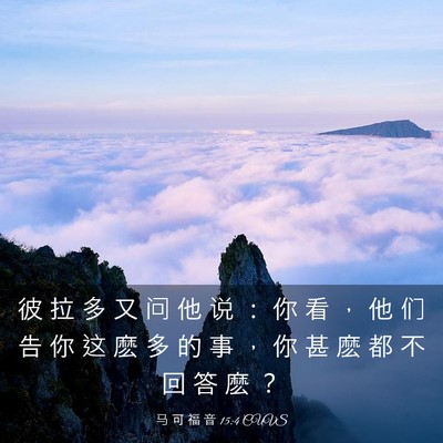 Picture 03 - 马 可 福 音 15:4 CUVS - 彼 拉 多 又 问 他 说 ： 你 看 ， 他 - Bible Verse Picture