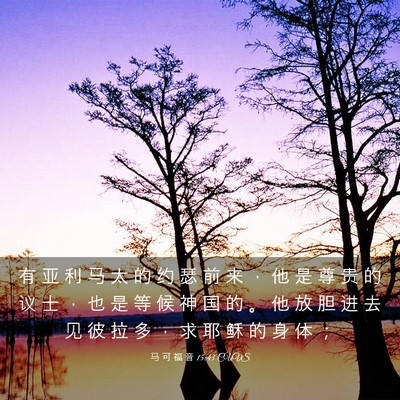 Picture 03 - 马 可 福 音 15:43 CUVS - 有 亚 利 马 太 的 约 瑟 前 来 ， 他 - Bible Verse Picture
