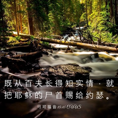 Picture 03 - 马 可 福 音 15:45 CUVS - 既 从 百 夫 长 得 知 实 情 ， 就 把 - Bible Verse Picture