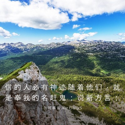 Picture 03 - 马 可 福 音 16:17 CUVS - 信 的 人 必 有 神 迹 随 着 他 们 ， - Bible Verse Picture
