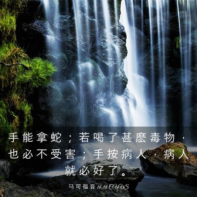 Picture 03 - 马 可 福 音 16:18 CUVS - 手 能 拿 蛇 ； 若 喝 了 甚 麽 毒 物 - Bible Verse Picture