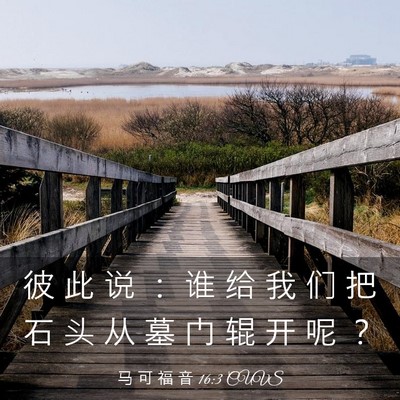 Picture 03 - 马 可 福 音 16:3 CUVS - 彼 此 说 ： 谁 给 我 们 把 石 头 从 - Bible Verse Picture