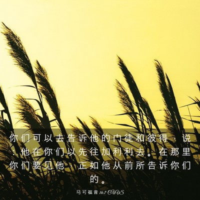 Picture 03 - 马 可 福 音 16:7 CUVS - 你 们 可 以 去 告 诉 他 的 门 徒 和 - Bible Verse Picture