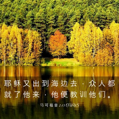 Picture 03 - 马 可 福 音 2:13 CUVS - 耶 稣 又 出 到 海 边 去 ， 众 人 都 - Bible Verse Picture