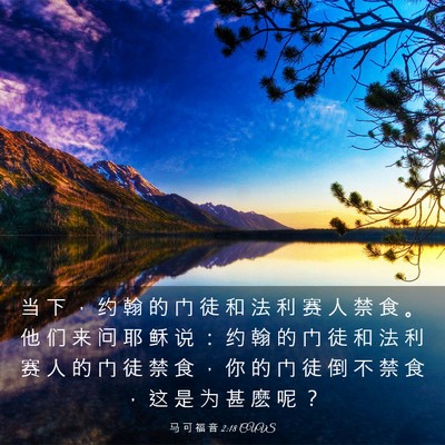 Picture 03 - 马 可 福 音 2:18 CUVS - 当 下 ， 约 翰 的 门 徒 和 法 利 赛 - Bible Verse Picture