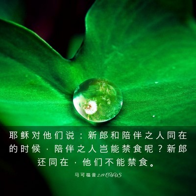 Picture 03 - 马 可 福 音 2:19 CUVS - 耶 稣 对 他 们 说 ： 新 郎 和 陪 伴 - Bible Verse Picture