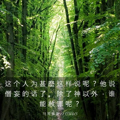 Picture 03 - 马 可 福 音 2:7 CUVS - 这 个 人 为 甚 麽 这 样 说 呢 ？ 他 - Bible Verse Picture