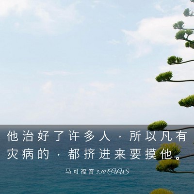 Picture 03 - 马 可 福 音 3:10 CUVS - 他 治 好 了 许 多 人 ， 所 以 凡 有 - Bible Verse Picture