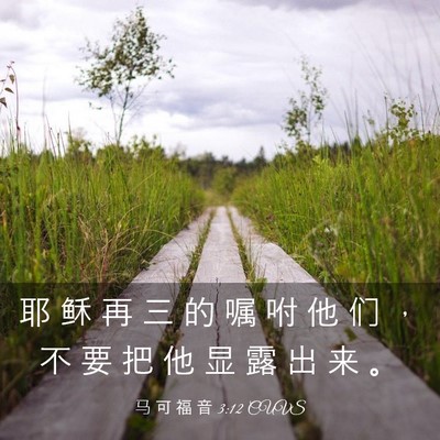 Picture 03 - 马 可 福 音 3:12 CUVS - 耶 稣 再 三 的 嘱 咐 他 们 ， 不 要 - Bible Verse Picture
