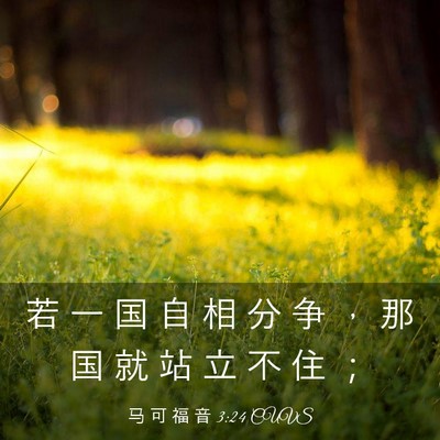 Picture 03 - 马 可 福 音 3:24 CUVS - 若 一 国 自 相 分 争 ， 那 国 就 站 - Bible Verse Picture