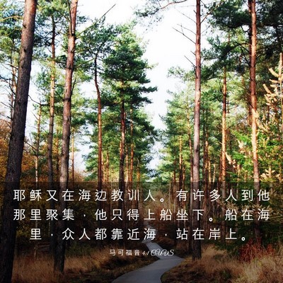 Picture 03 - 马 可 福 音 4:1 CUVS - 耶 稣 又 在 海 边 教 训 人 。 有 许 - Bible Verse Picture