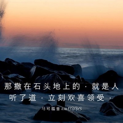 Picture 03 - 马 可 福 音 4:16 CUVS - 那 撒 在 石 头 地 上 的 ， 就 是 人 - Bible Verse Picture