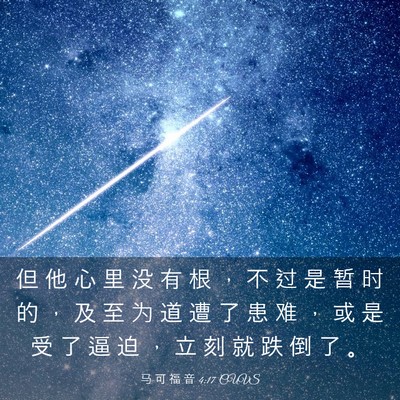 Picture 03 - 马 可 福 音 4:17 CUVS - 但 他 心 里 没 有 根 ， 不 过 是 暂 - Bible Verse Picture