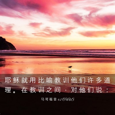 Picture 03 - 马 可 福 音 4:2 CUVS - 耶 稣 就 用 比 喻 教 训 他 们 许 多 - Bible Verse Picture
