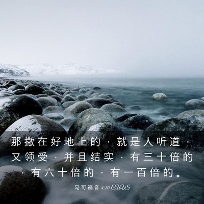 Picture 03 - 马 可 福 音 4:20 CUVS - 那 撒 在 好 地 上 的 ， 就 是 人 听 - Bible Verse Picture