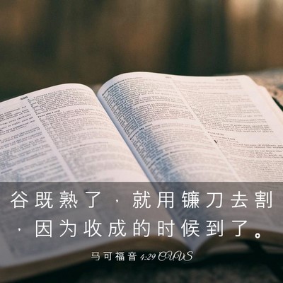 Picture 03 - 马 可 福 音 4:29 CUVS - 谷 既 熟 了 ， 就 用 镰 刀 去 割 ， - Bible Verse Picture