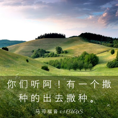 Picture 03 - 马 可 福 音 4:3 CUVS - 你 们 听 阿 ！ 有 一 个 撒 种 的 出 - Bible Verse Picture
