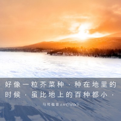 Picture 03 - 马 可 福 音 4:31 CUVS - 好 像 一 粒 芥 菜 种 ， 种 在 地 里 - Bible Verse Picture
