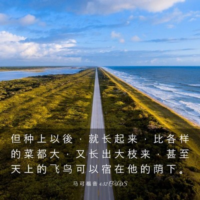 Picture 03 - 马 可 福 音 4:32 CUVS - 但 种 上 以 後 ， 就 长 起 来 ， 比 - Bible Verse Picture