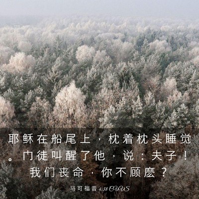Picture 03 - 马 可 福 音 4:38 CUVS - 耶 稣 在 船 尾 上 ， 枕 着 枕 头 睡 - Bible Verse Picture