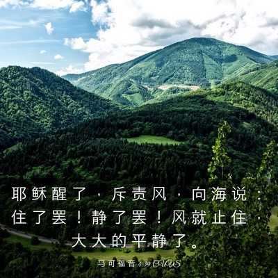 Picture 03 - 马 可 福 音 4:39 CUVS - 耶 稣 醒 了 ， 斥 责 风 ， 向 海 说 - Bible Verse Picture