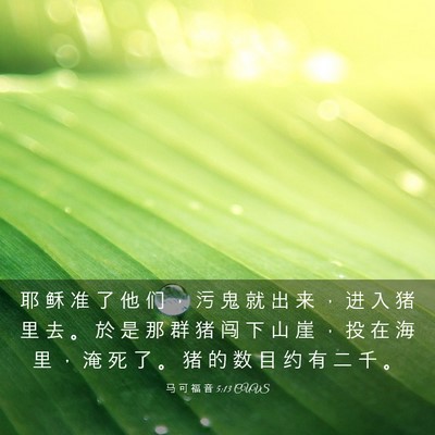 Picture 03 - 马 可 福 音 5:13 CUVS - 耶 稣 准 了 他 们 ， 污 鬼 就 出 来 - Bible Verse Picture
