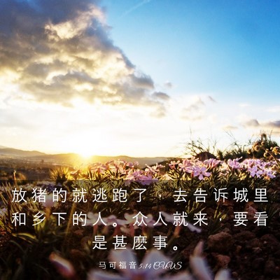 Picture 03 - 马 可 福 音 5:14 CUVS - 放 猪 的 就 逃 跑 了 ， 去 告 诉 城 - Bible Verse Picture