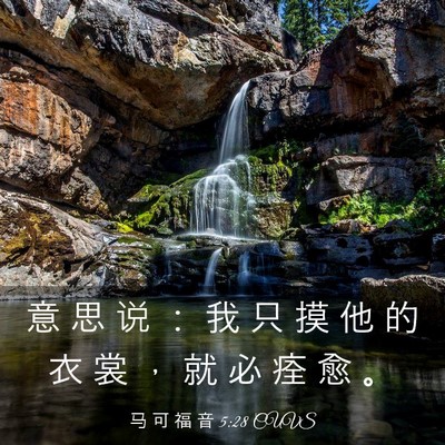 Picture 03 - 马 可 福 音 5:28 CUVS - 意 思 说 ： 我 只 摸 他 的 衣 裳 ， - Bible Verse Picture