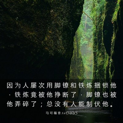 Picture 03 - 马 可 福 音 5:4 CUVS - 因 为 人 屡 次 用 脚 镣 和 铁 炼 捆 - Bible Verse Picture