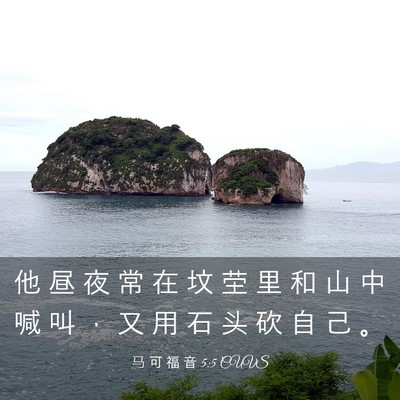 Picture 03 - 马 可 福 音 5:5 CUVS - 他 昼 夜 常 在 坟 茔 里 和 山 中 喊 - Bible Verse Picture