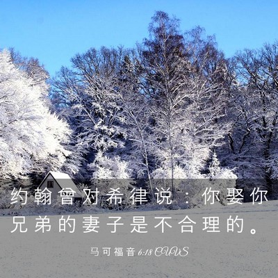 Picture 03 - 马 可 福 音 6:18 CUVS - 约 翰 曾 对 希 律 说 ： 你 娶 你 兄 - Bible Verse Picture
