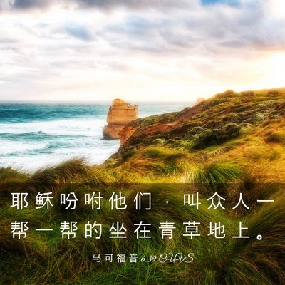 Picture 03 - 马 可 福 音 6:39 CUVS - 耶 稣 吩 咐 他 们 ， 叫 众 人 一 帮 - Bible Verse Picture